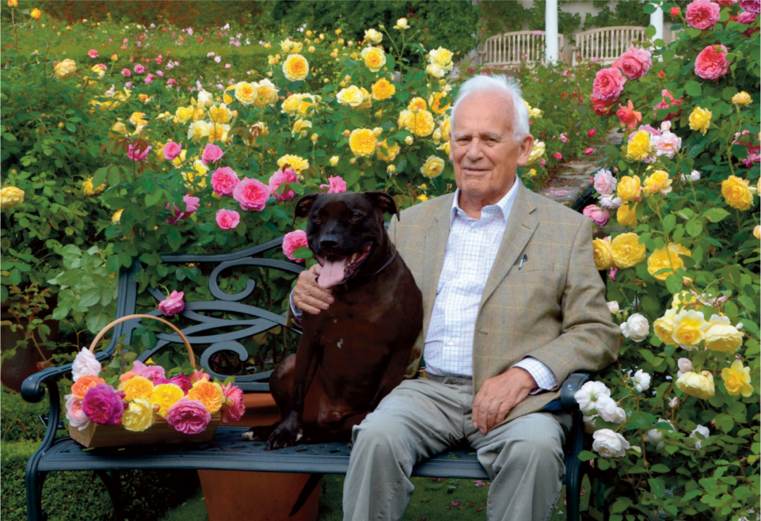 顏值暴擊！史上最全大衛(wèi)奧斯汀歐月指南