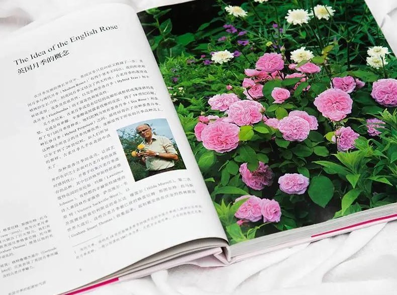 首發(fā)出版！這本大衛(wèi)奧斯汀親筆的“玫瑰圣經(jīng)”終于引進了