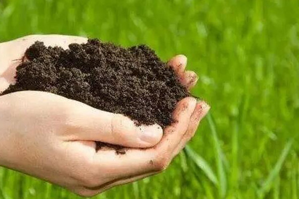 告別化肥農(nóng)藥，別人的“生態(tài)花園”是怎樣養(yǎng)成的