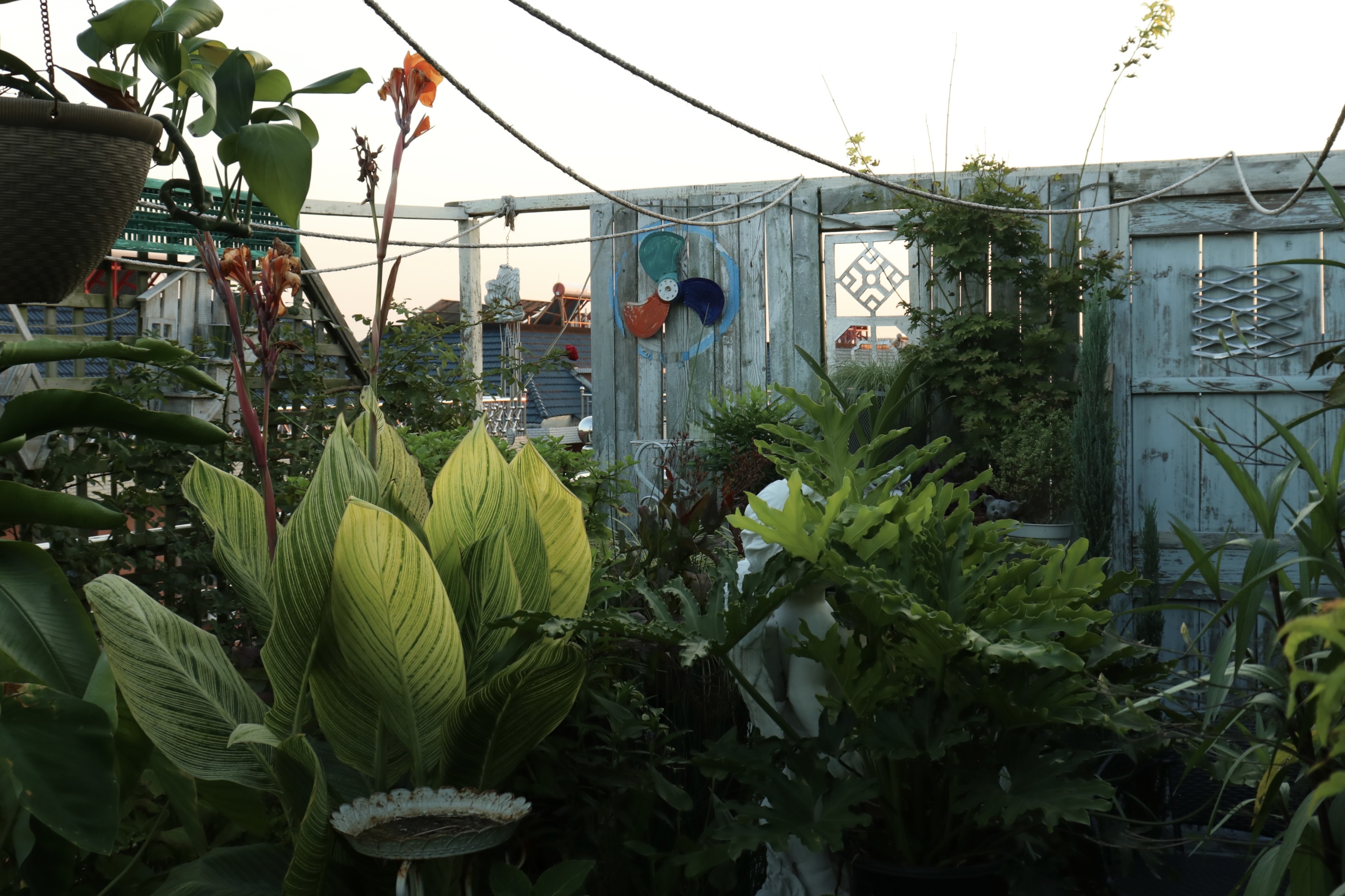 0元爆改水泥天臺，高手竟在我身邊？！