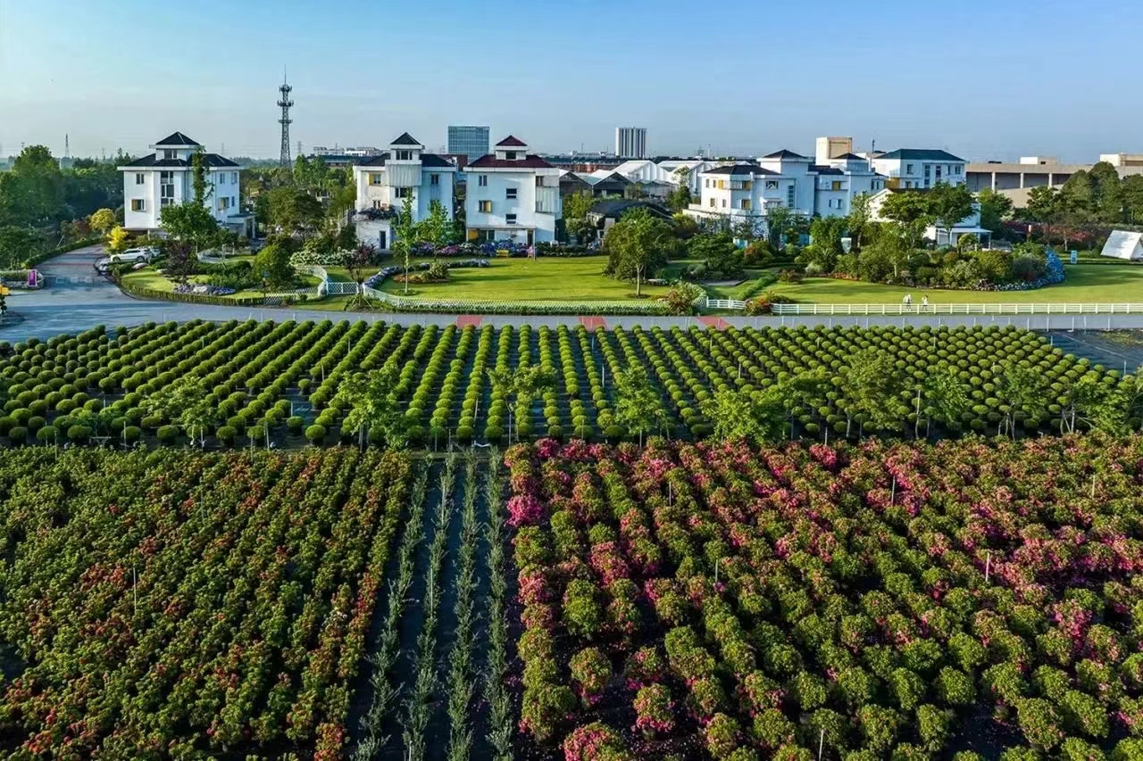 過(guò)年不打烊！虹越線(xiàn)上零售渠道營(yíng)業(yè)安排通知！